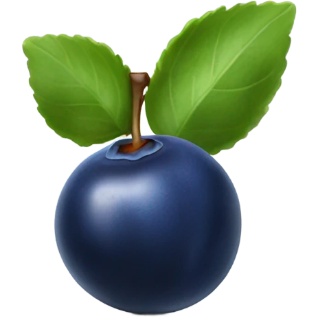 Blueberries  emoji