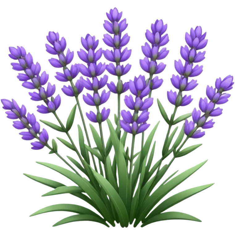 Lavender  emoji