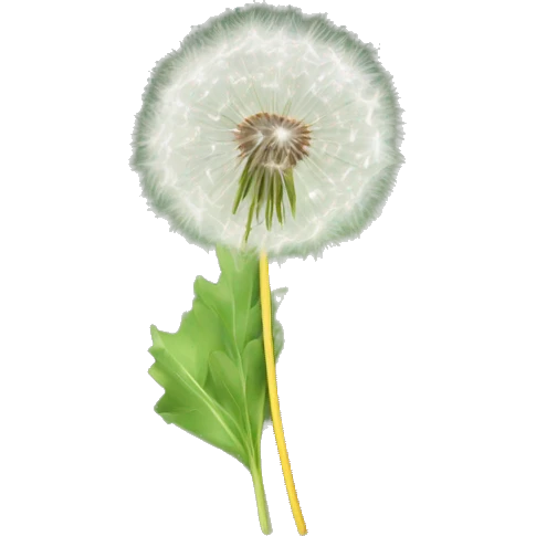 dandelion emoji