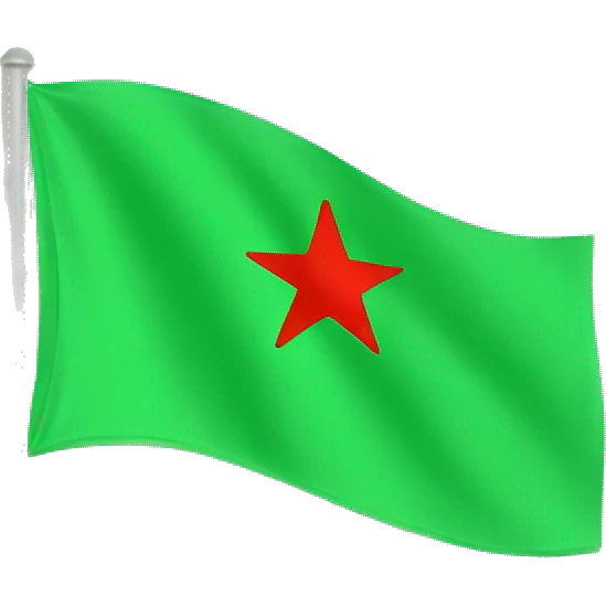 green flag with a red star in the middle. no other colors emoji
