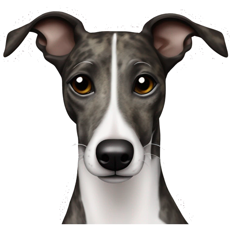 brindle black and white patches whippet emoji