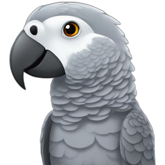 African grey parrot with long lashes emoji
