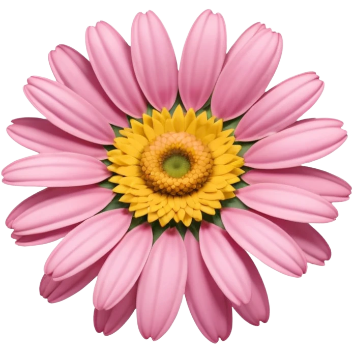 “A Polaroid-style photo of a pink daisy  emoji