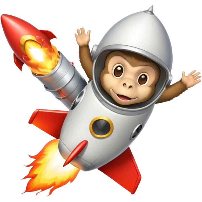 punk monkye in a hat flying in a rocket with fire emoji
