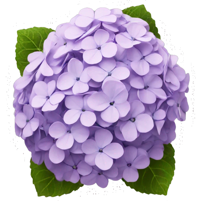 One hydrangea emoji
