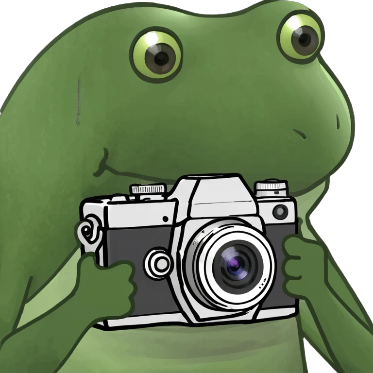 Place the bufo frog holding a camera on a sunny tropical beach, maintaining the green bufo frog meme style with concise details and vibrant colors typical of the bufo style. emoji
