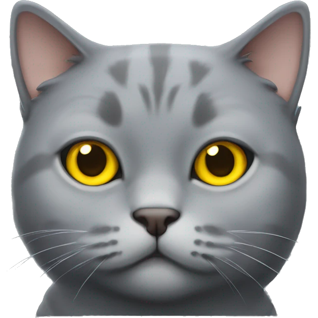 Scottish gray cat chubby with yellow eyes emoji