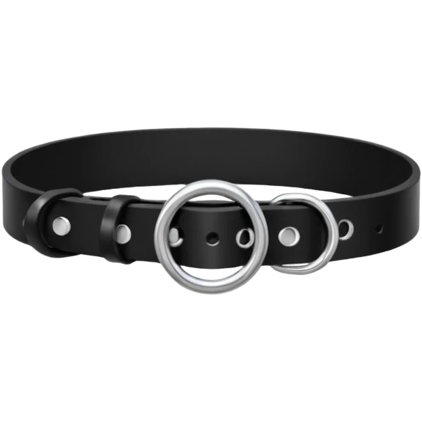 Collar – black leather with silver O-ring. emoji