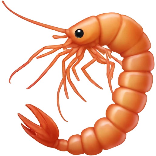 penis shrimp emoji