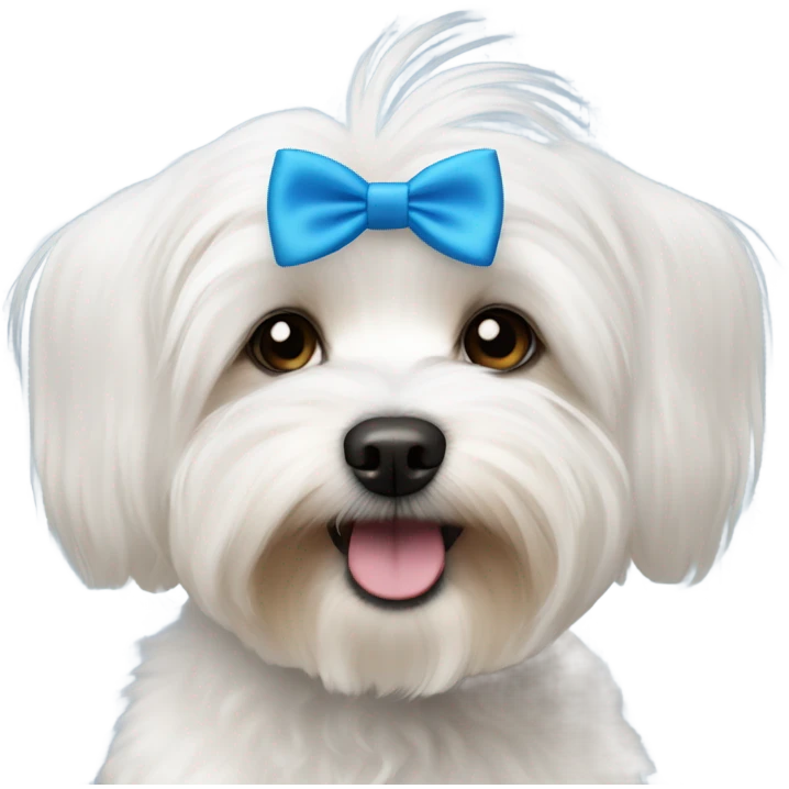 Small white havanese dog with a blue bow tie  emoji