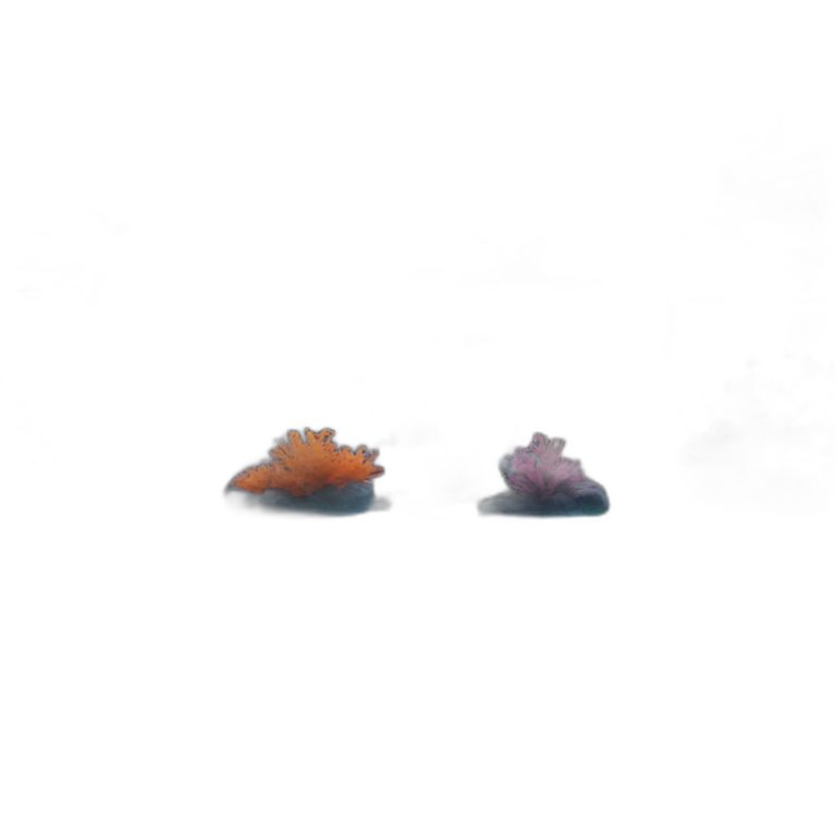 aquascaping fish tank with neon fish emoji
