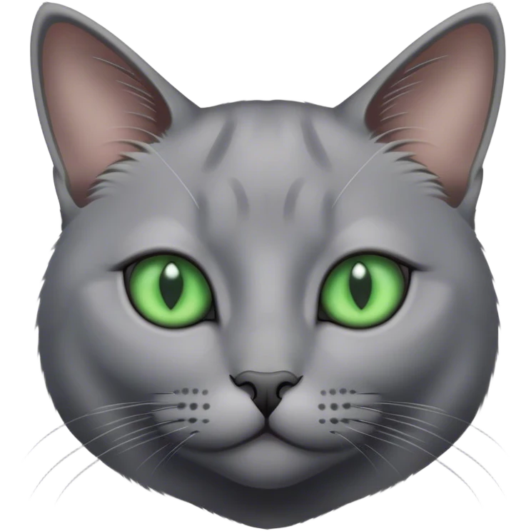 Realistic grey cat with green eyes emoji