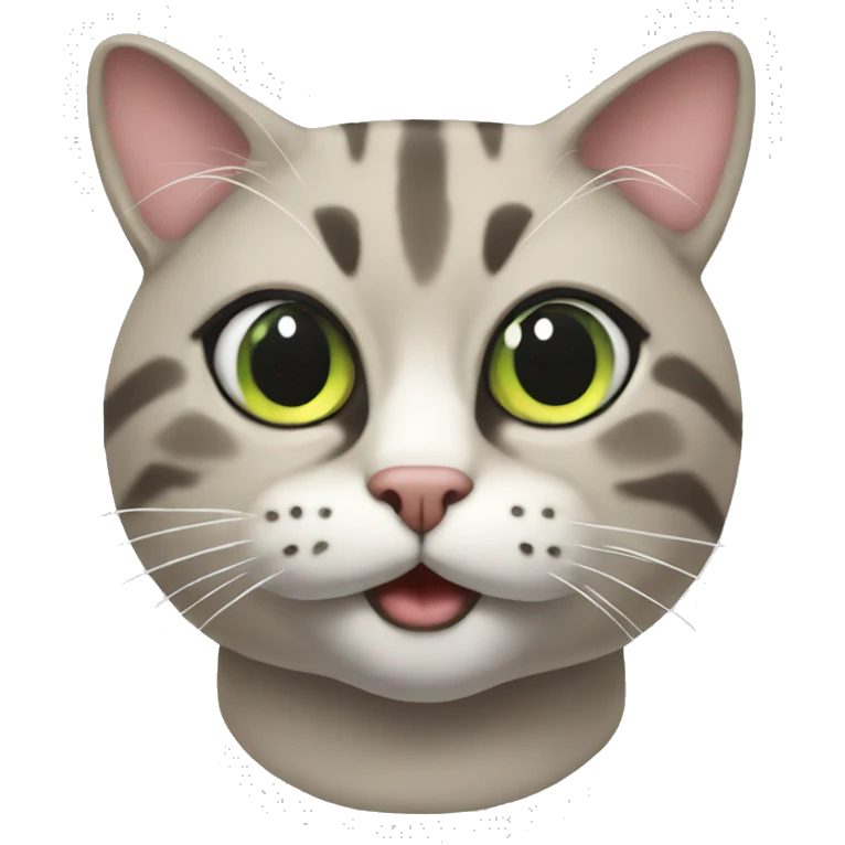 optint internet provider cat emoji