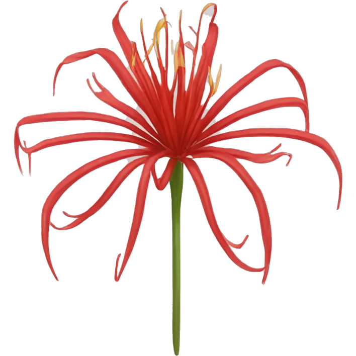 Red spider lily  emoji