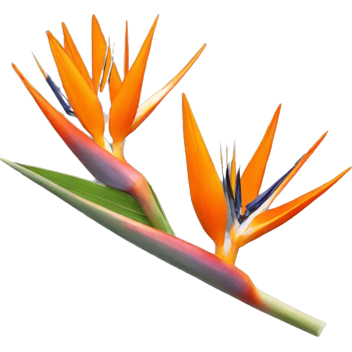 Strelitzia emoji