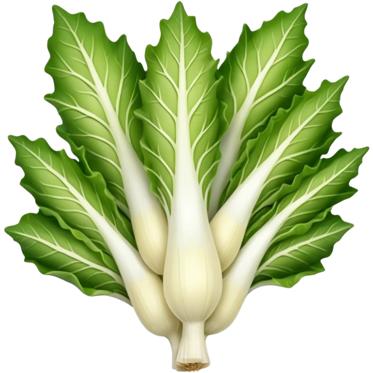 Belgian endive emoji
