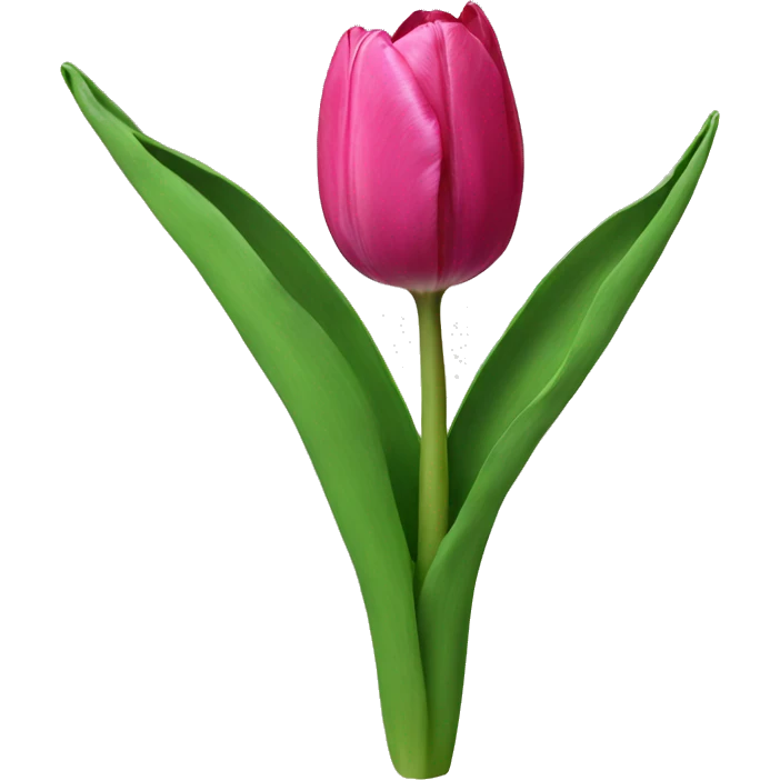 Tulip emoji