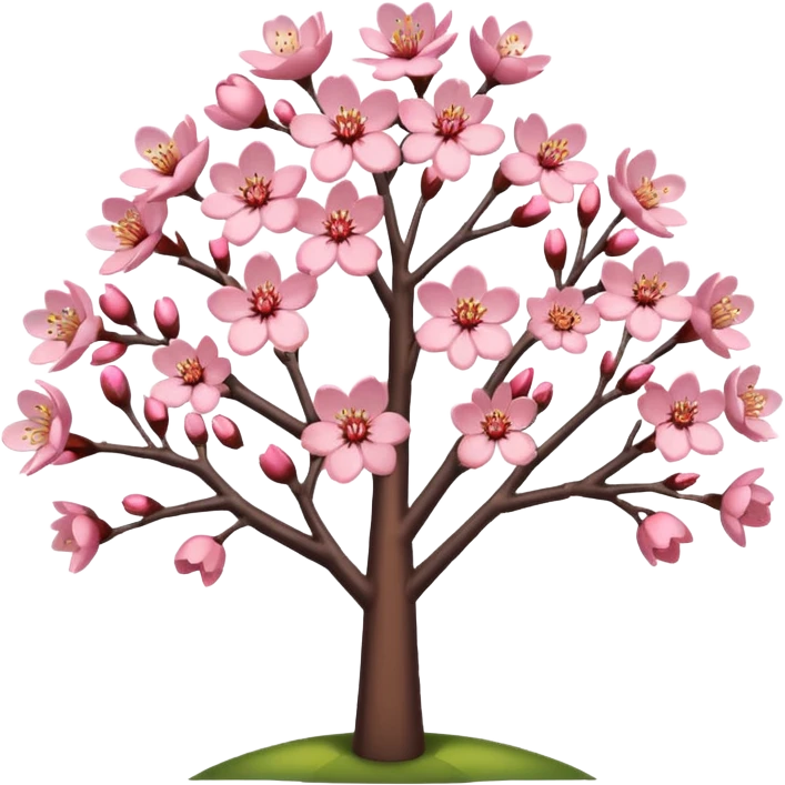 Cherry blossom  emoji