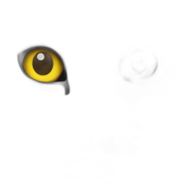 Silver marble Scottish straight cat with yellow eyes emoji