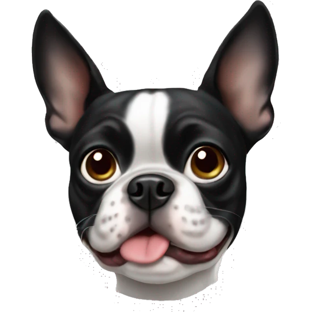 Boston terrier  emoji