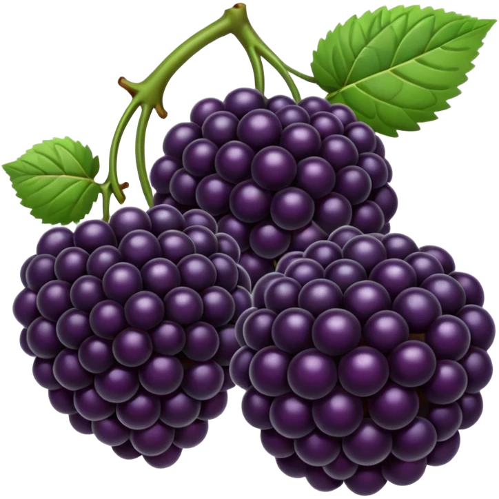 blackberries emoji