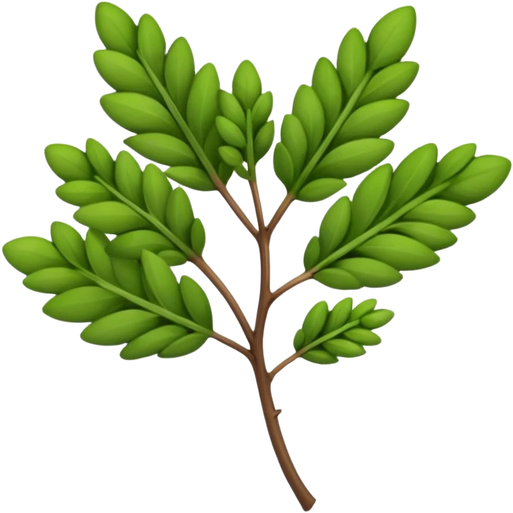 a sprig of thyme emoji