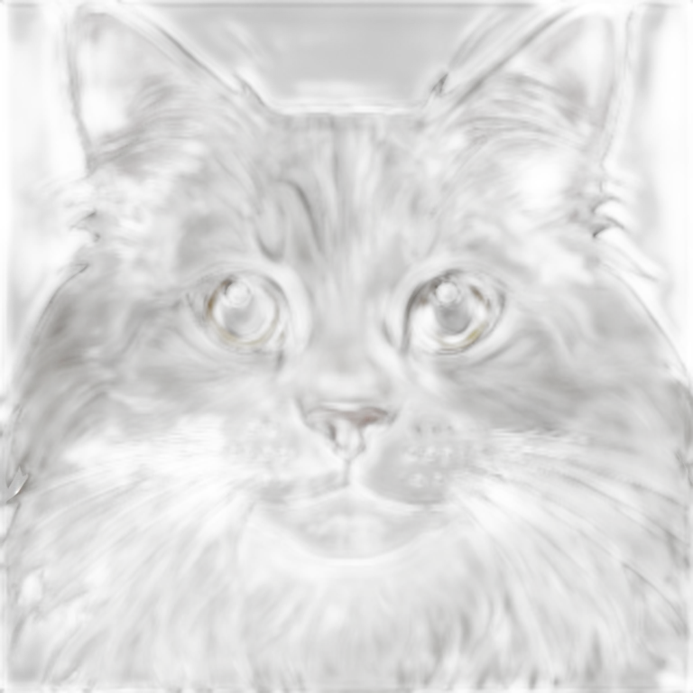 maine coon emoji