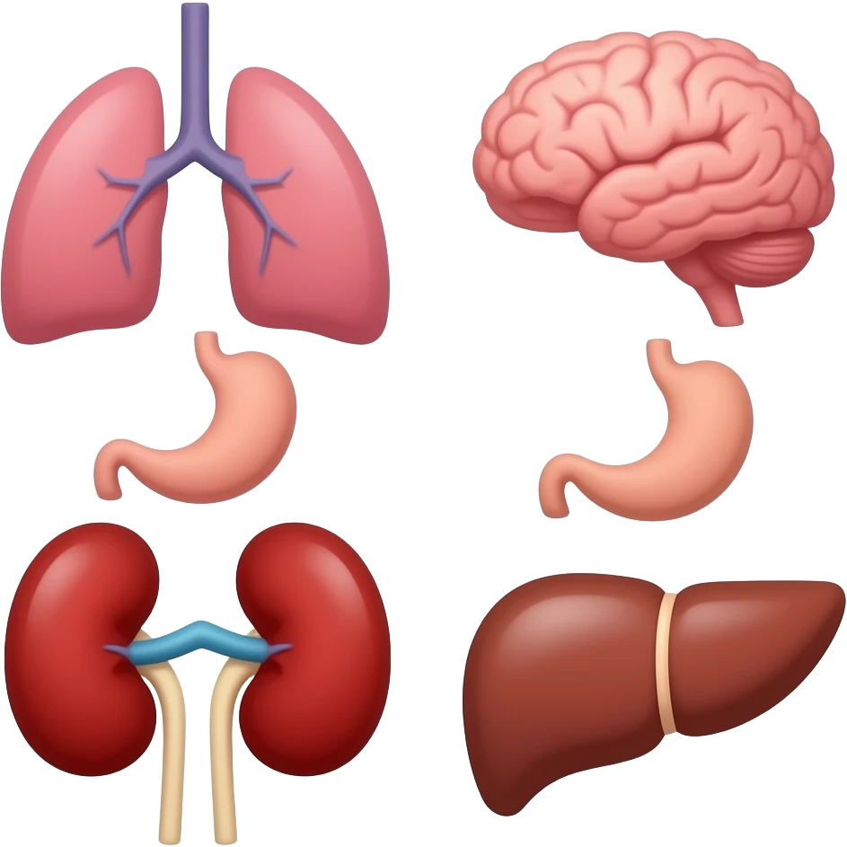 Create an emoji for each organ for code programming. emoji