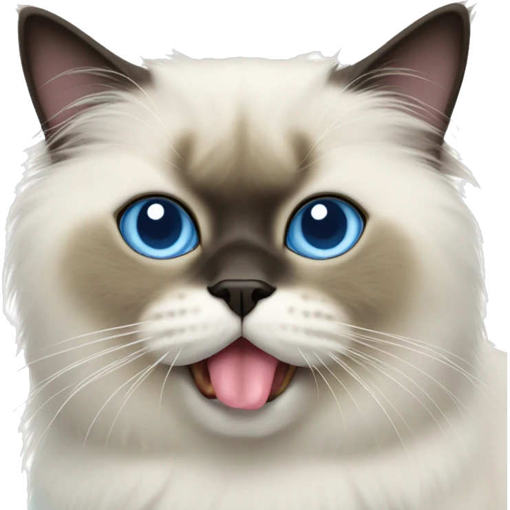 Himalayan cat, tongue sticking out mouth, blue eyes emoji