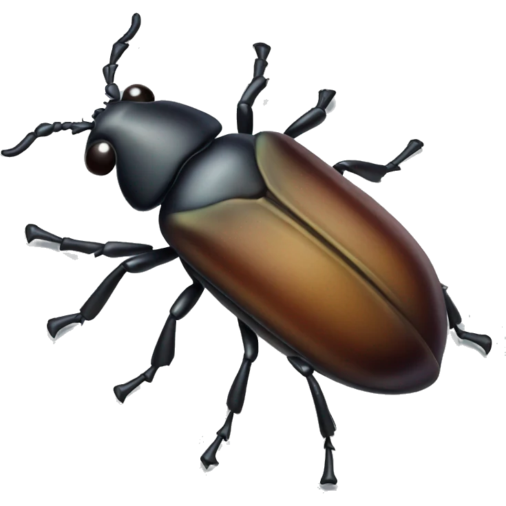 Beetle bug  emoji