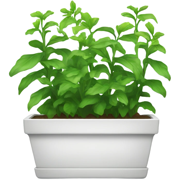 Very Long white rectangular flower pot with green plants only emoji