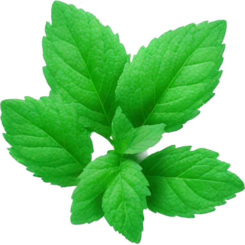 frozen mint with ice and snow on mint leaves emoji