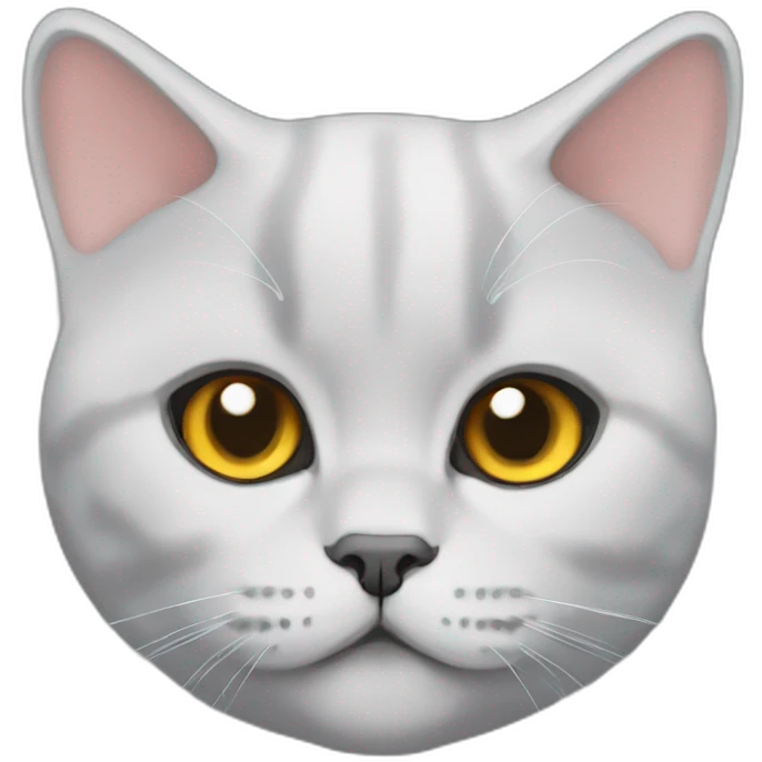 british-shorthair emoji