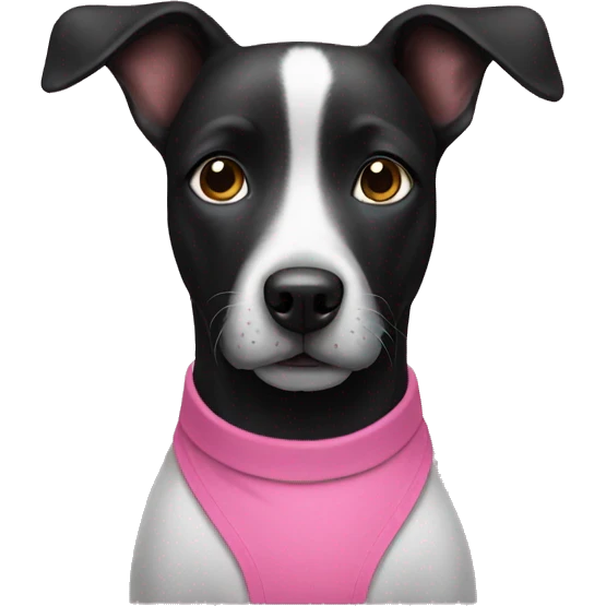 Black dog wearing pink shirt  emoji