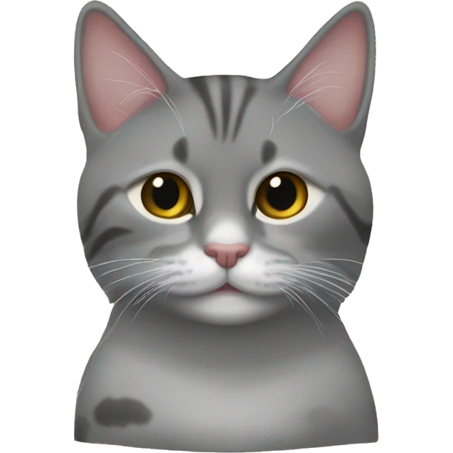 Кошка черная без пятен с круглой мордочкой и медовыми глазами emoji