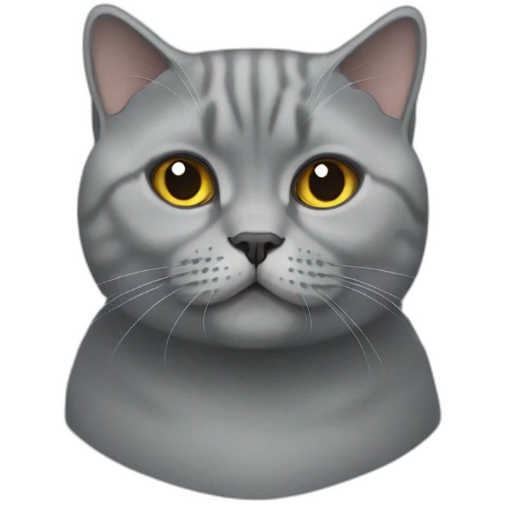 british-shorthair emoji