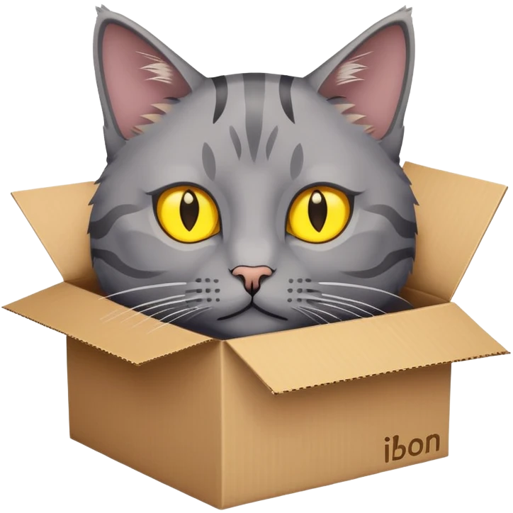 Grey cat with yellow eyes in Amazon box ￼ emoji