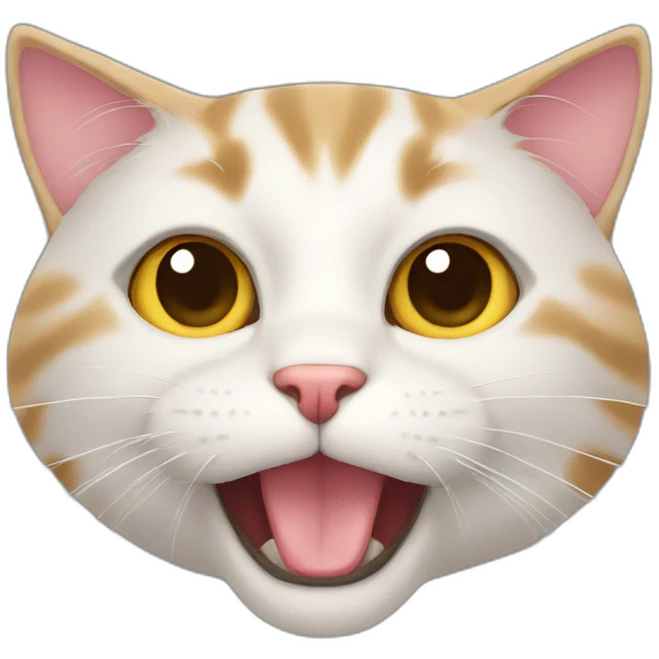 Cat emoji