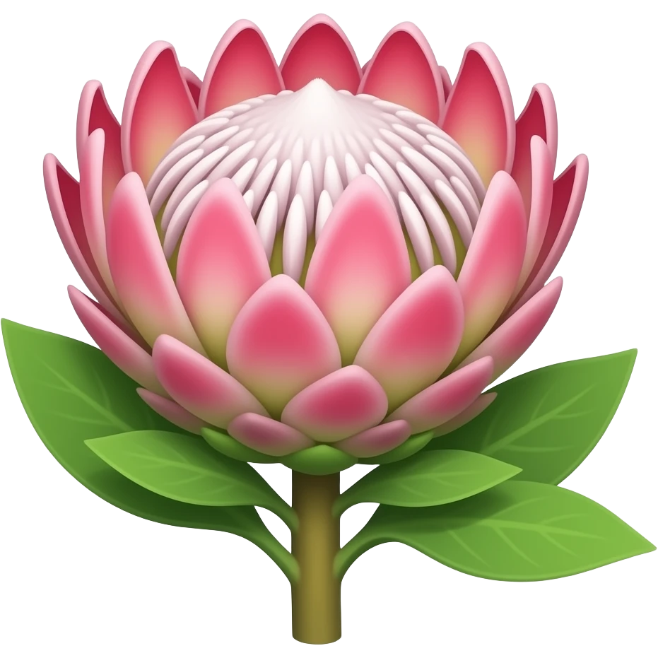 Protea thin emoji