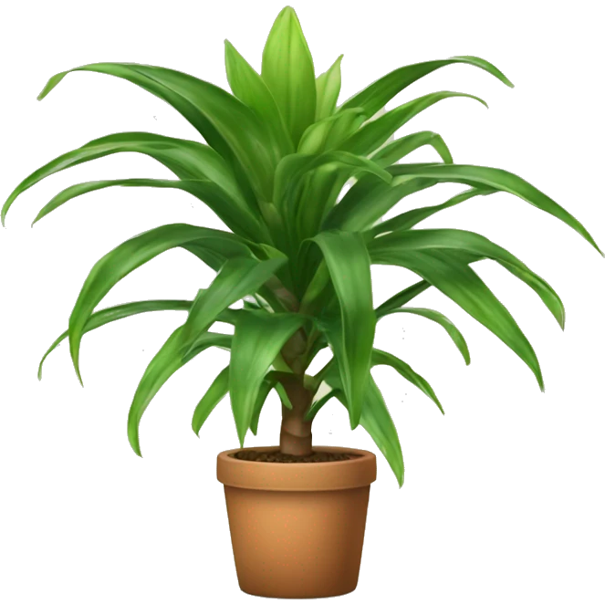 dracaena houseplant emoji