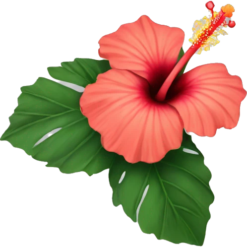 hibiscus flower emoji