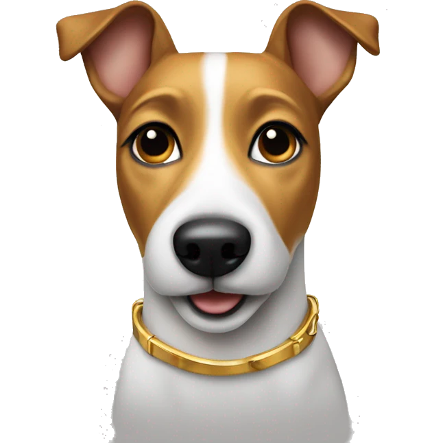 A jack russel terrier dog with a golden collar emoji