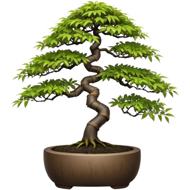 Japanese egg-shaped dark bamboo maple tree bonsai pot emoji