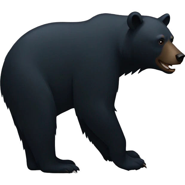 Black bear shadow emoji
