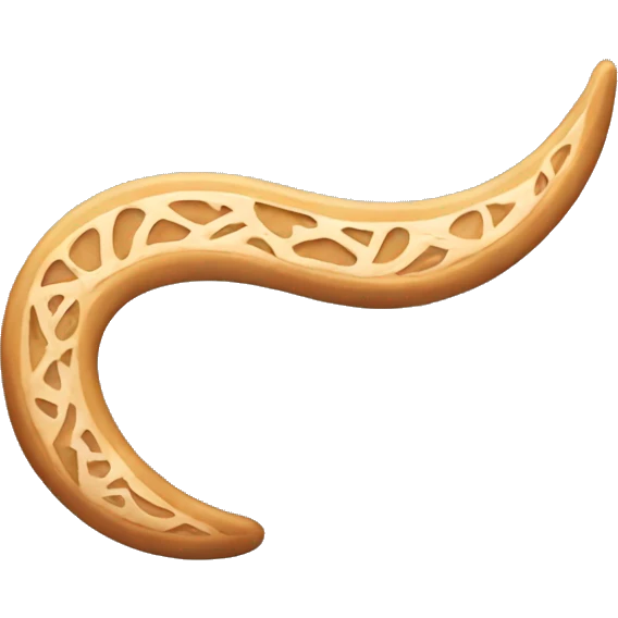 a boomerang with indiacas  emoji