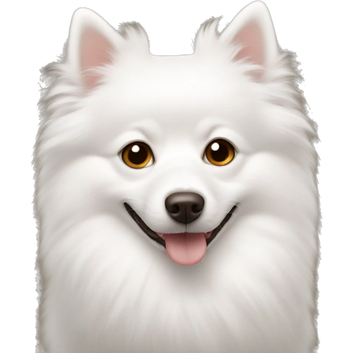 white spitz with brown eyes lies emoji