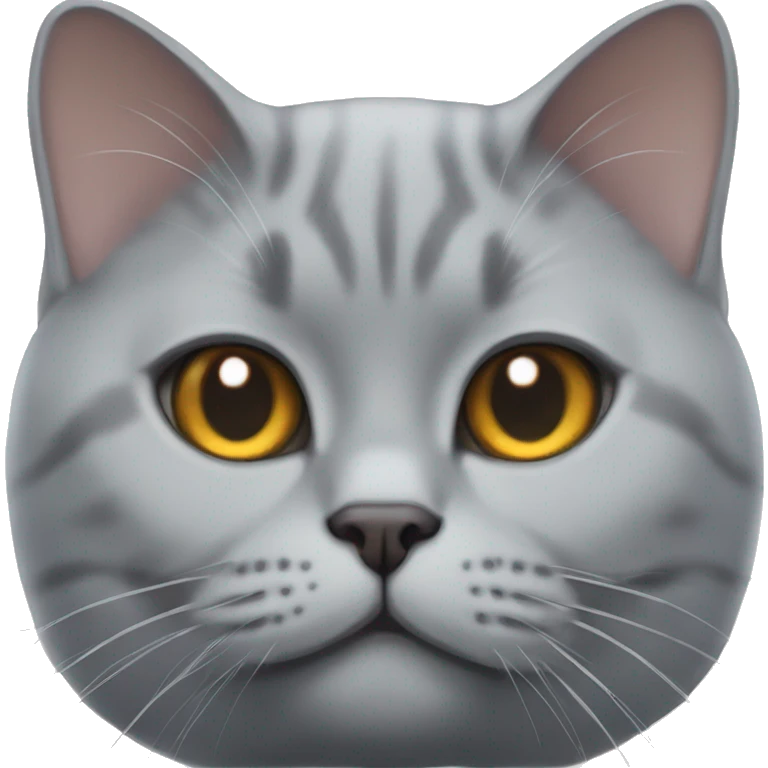 British shorthair cat face emoji