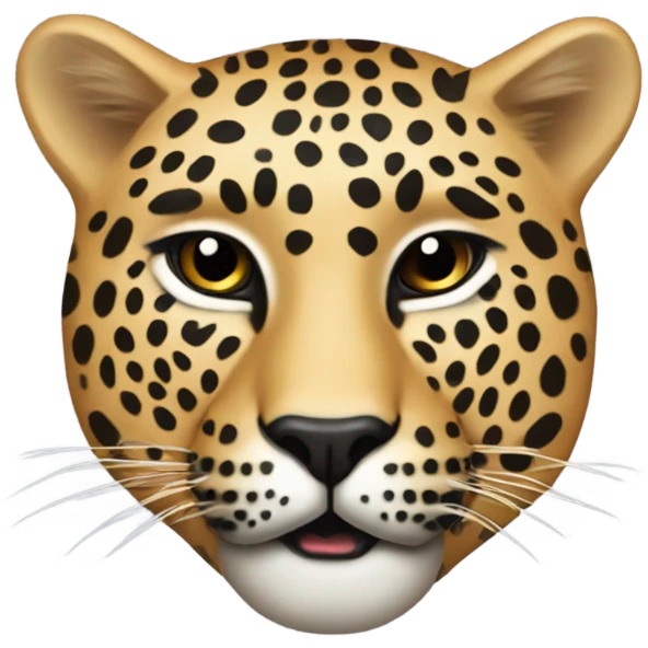 Leopard Tier 1 Audits words  displayed   emoji