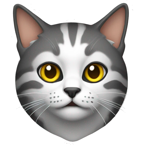 hacking cat emoji