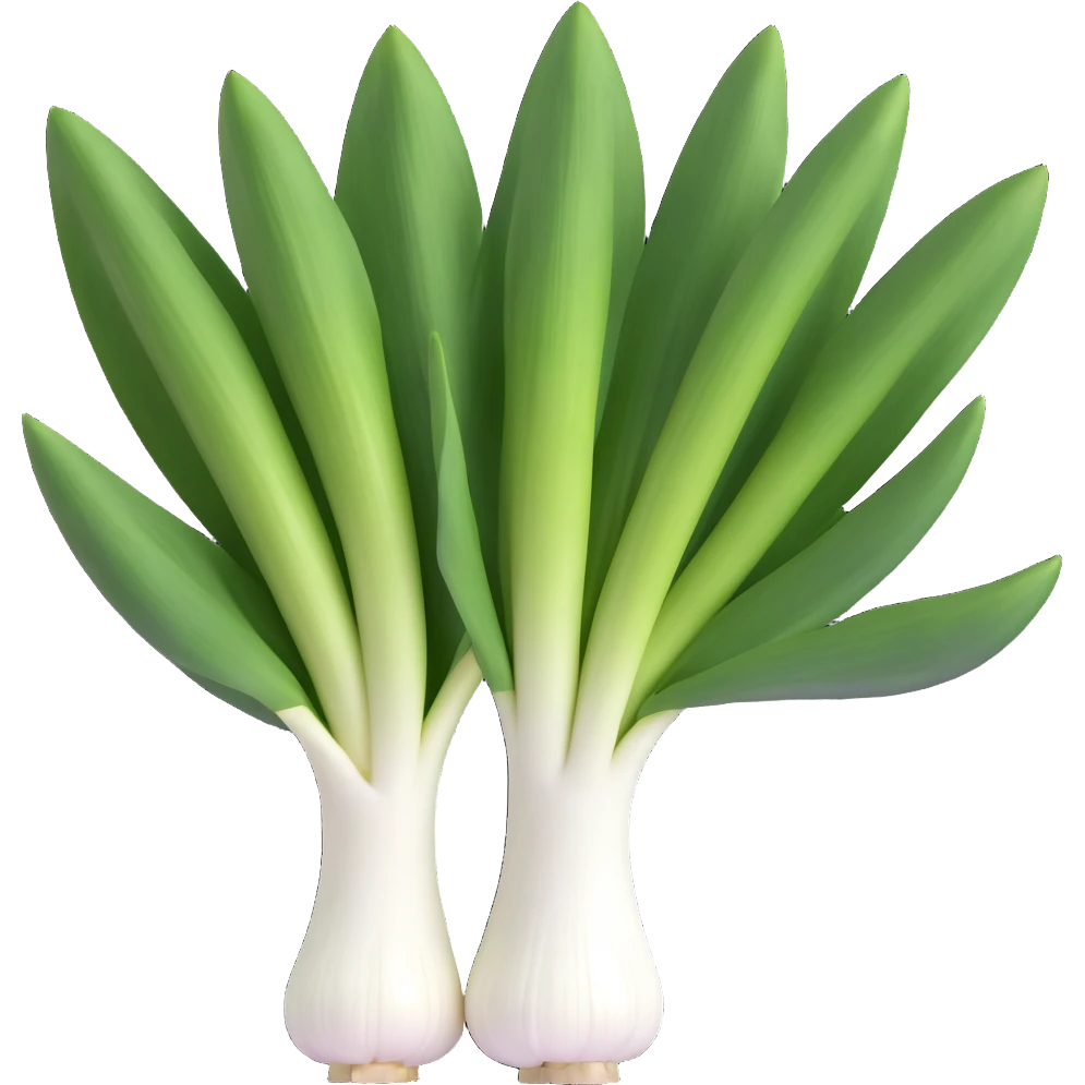 whole fresh leek with thick white stalk blending into pale and dark green flat leaves, leaves open and tidy, root end with fine roots, clean and moist, 3D emoji style, minimal, soft shadows, realistic lighting, organic shape, no face, no extra items, transparent background, emoji scale emoji